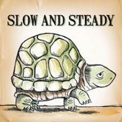 Slow and Steady (2013)