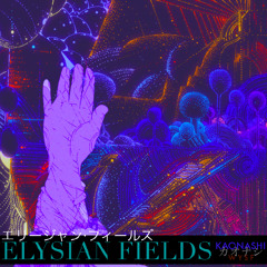 N O / / F L O W E R S