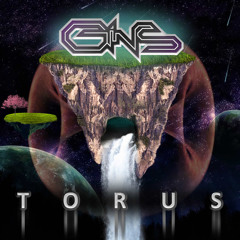 GINS - Torus