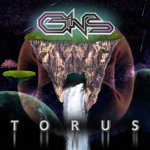 GINS - Torus