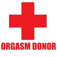 Sizterthing - Orgasmatronic (Instrumental Mix)