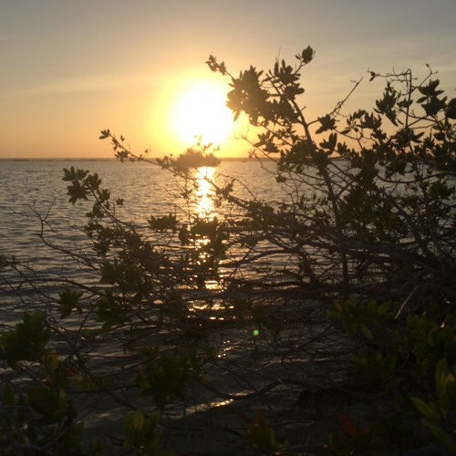 Isla de los Pájaros / Bacalar, México