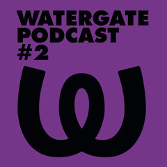 Watergate Podcast #2 - Marco Resmann