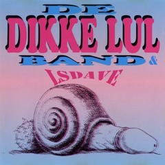 'ALS IK JE KUT LIK'    LSDave & De Dikke Lul Band