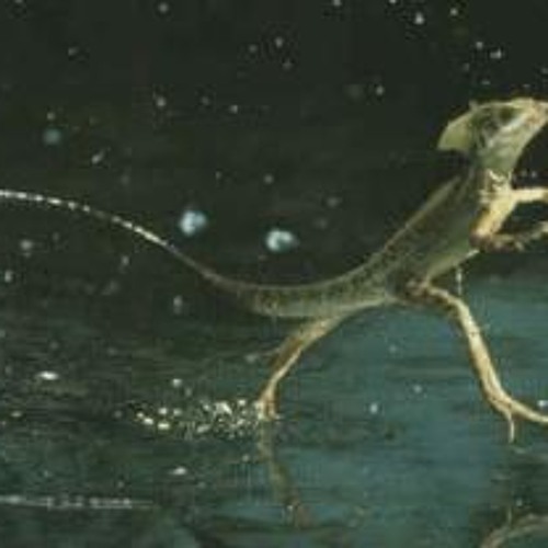 Walk On Water
