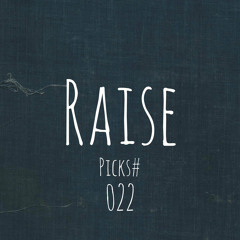 Raise Picks#022