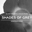 Shades of Grey (Ft. Delaney Jane) [Hanzonian Remix]