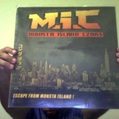 Monsta Island Czars - MIC Check (M.I.C. Avengers)