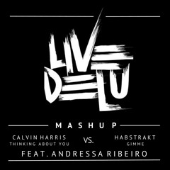 Habstrakt vs Calvin Harris - Gimme vs Thinking About You Feat. Andressa Ribeiro (Live Delu Mashup)