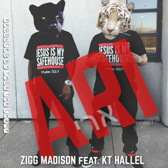 Zigg Madison - ARI ft. KT HalleL