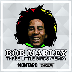 Three Little Birds (DjMontaro & DJ T-Rex Remix)
