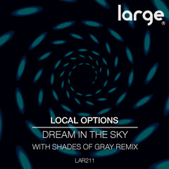 Local Options | Dream In The Sky (preview)