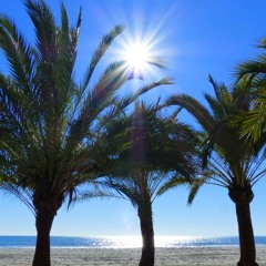 Loco Suede - Final Flash (Original Mix)