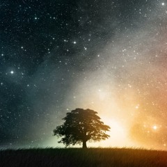 Luminary by Siddhartha Barnhoorn (feat. Lara Ausensi)