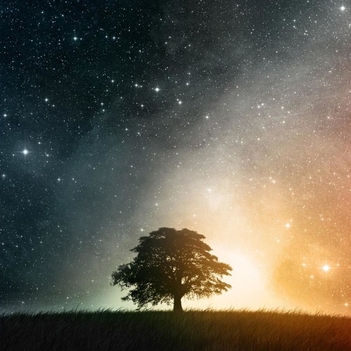 Luminary by Siddhartha Barnhoorn (feat. Lara Ausensi)
