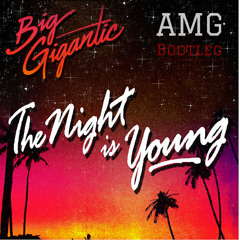 Big Gigantic - The Night Is Young (Ft. Cherub) (AMG Bootleg)