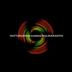 Nattakurinji marries Nalinakanthi | ElectroCarnatic Shift