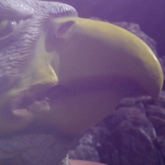 Eu Não Ouvi Di Vocé