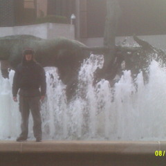 Never gonna fall again