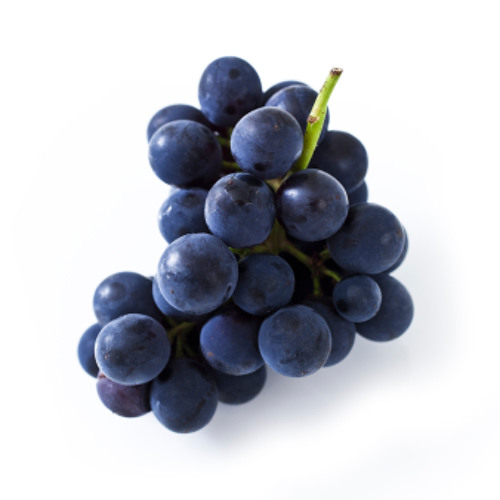 The Eden Project - Grape