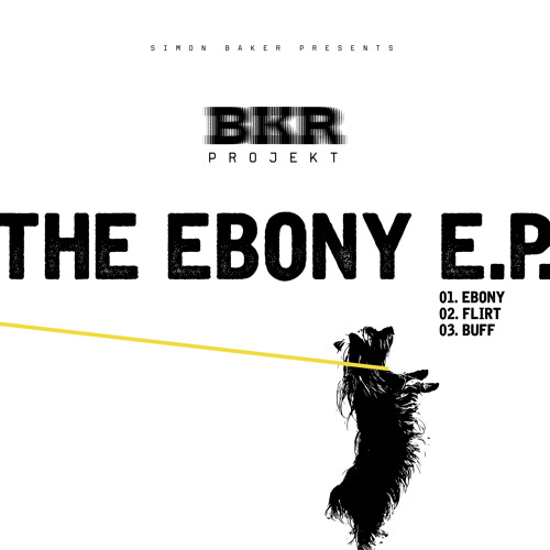 Simon Baker Presents BKR Projekt - Ebony