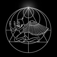 Noah Tate_The Wizzard