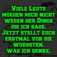 FRIEMELBASTLER - I TEkKe my Way.mp3