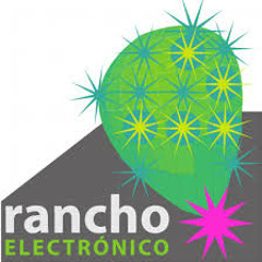 Mirando al Sur. El Rancho Electronico