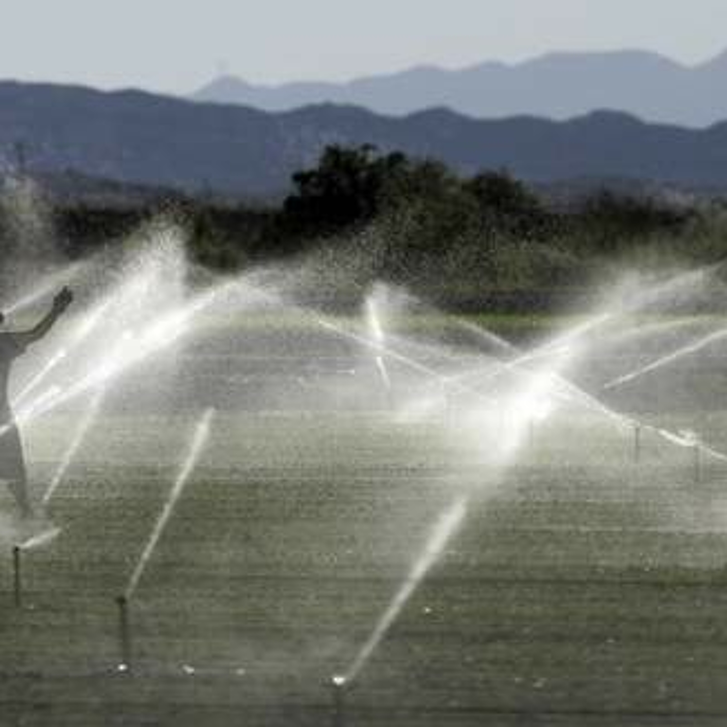 Poll: Americans favor farmers and food during drought. Ag Minute for Aug 5, 2015 episode artwork
