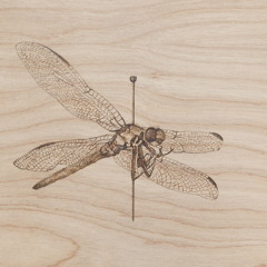 Twenty-Something Blues