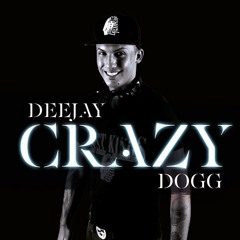 DJ.Crazy Dogg - Show Me Love (RNB MIX)