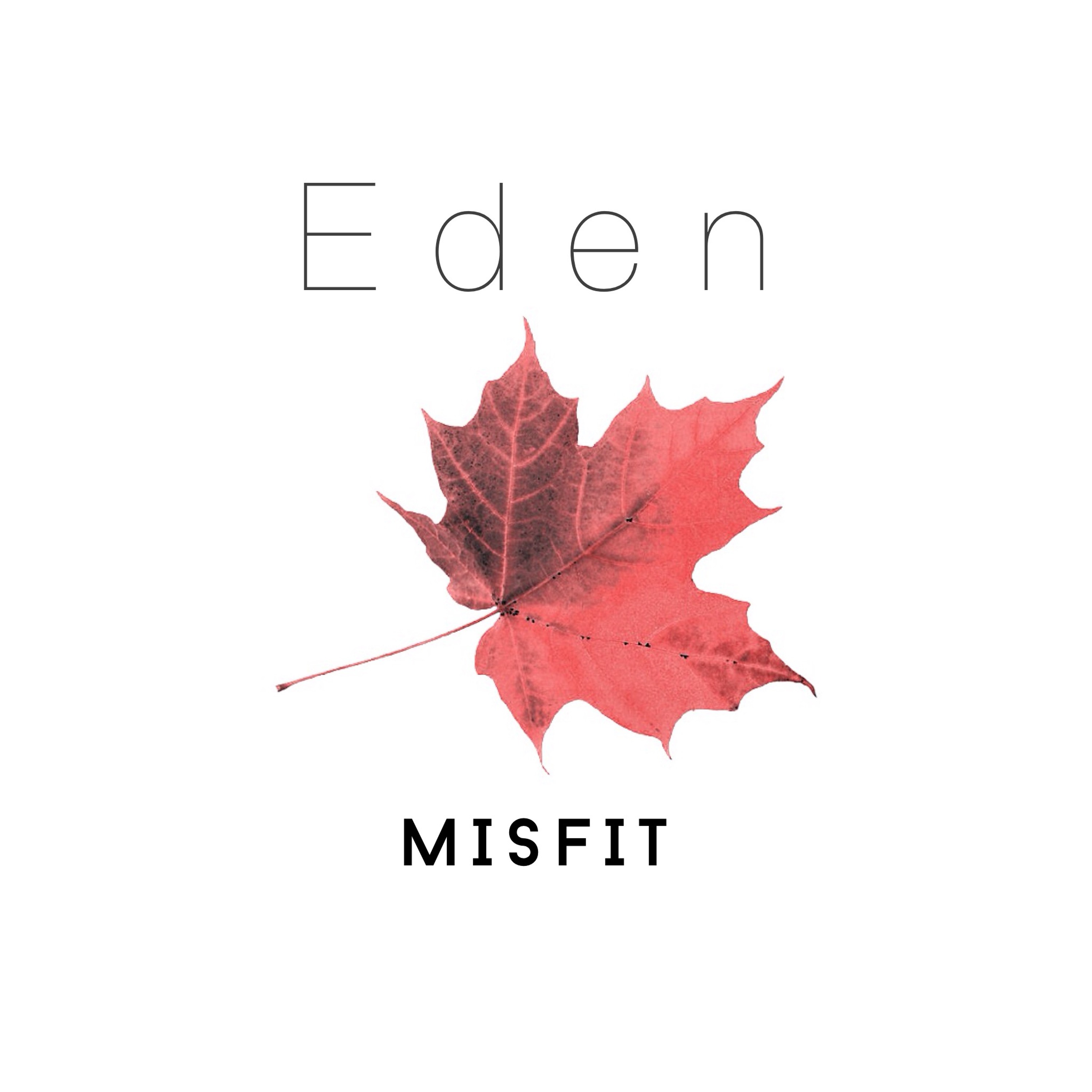 Eden episode artwork