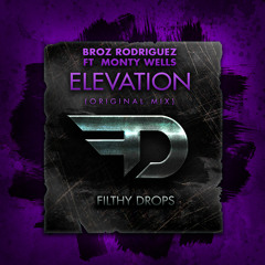 Broz Rodriguez ft Monty Wells - Elevation (Original Mix)
