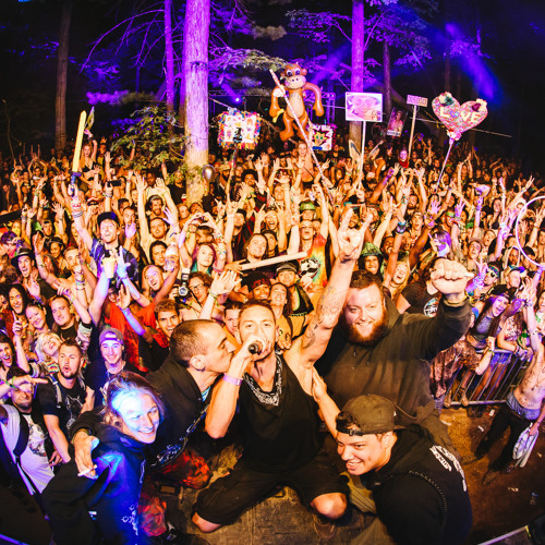 2rip Live at Big Dub Festival 2015 by dj2rip DJ 2rip Free Listening