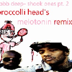 Mobb Deep - Shook Ones Pt. 2 (broccolli head's Melotonin Remix)