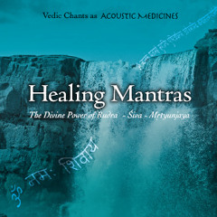 Healing Mantras - Vedic Chants of Acoustic Medicines ヒーリング・マントラ～癒しの言霊 －ヨーガ源流、ヴェーダ・マントラ・チャンティング