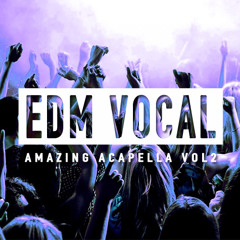 Eric Mendosa EDM Vocal & Acapella Vol 2