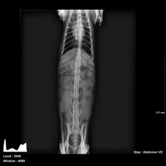 I Bet My Landlord That I Could Land A Job In One Day Even With This Beard