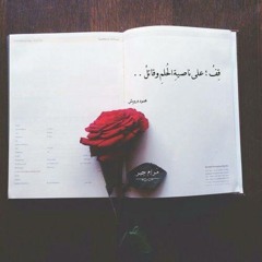 بحلم كتير اجري واطير ..كايروكى . هانى عادل . زاب ثروت