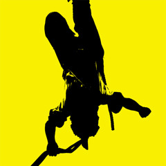 Volador