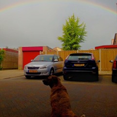 Jinx wanna be a Hippy !! (BasSi vd Made remix) #beetjetezachtopgenomen