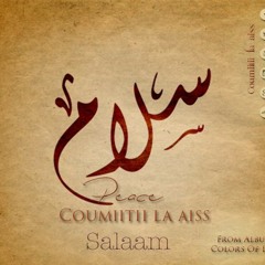 Salam - سلام        ( Peace ) - Taylor Swift Cover instruments-  Aissa Belhaddad