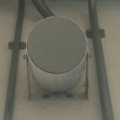 Superb alarm noise at Clapham Junction