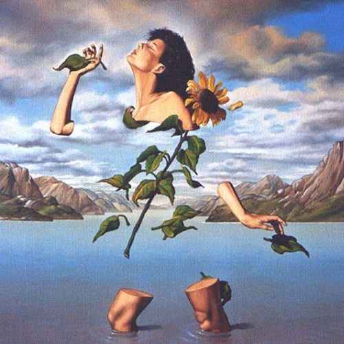 Fluxy - Spasticated