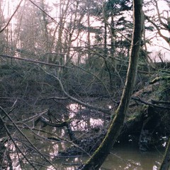 Some Trail That Leaves The Others (original)