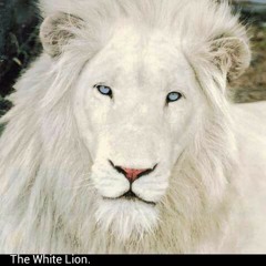 real ft mugga sage.mp3