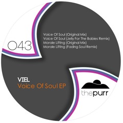 VieL - Voice Of Soul (Jelly For The Babies Remix)
