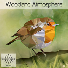 MAFX001 Woodland Atmosphere Demo