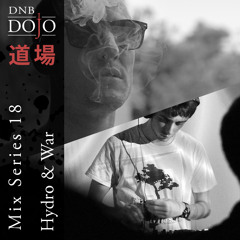 DNB Dojo Mix Series 18 Mixed by Hydro & War