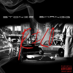 Stonie Bhangg - R.I.C.O.